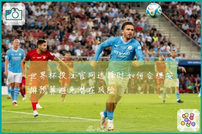 世界杯投注官网选择时如何合理安排预算避免潜在风险